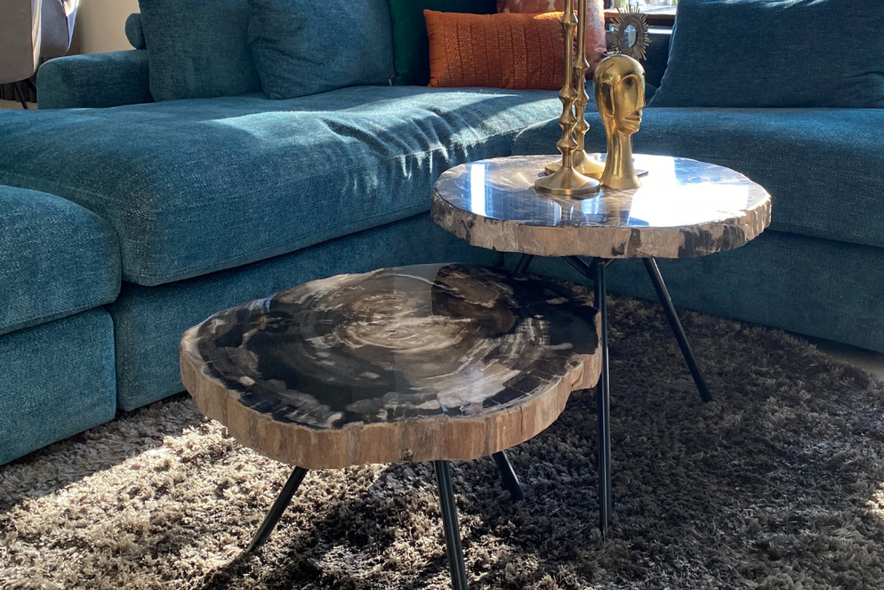 Ciawi coffeetable petrified wood tinggi