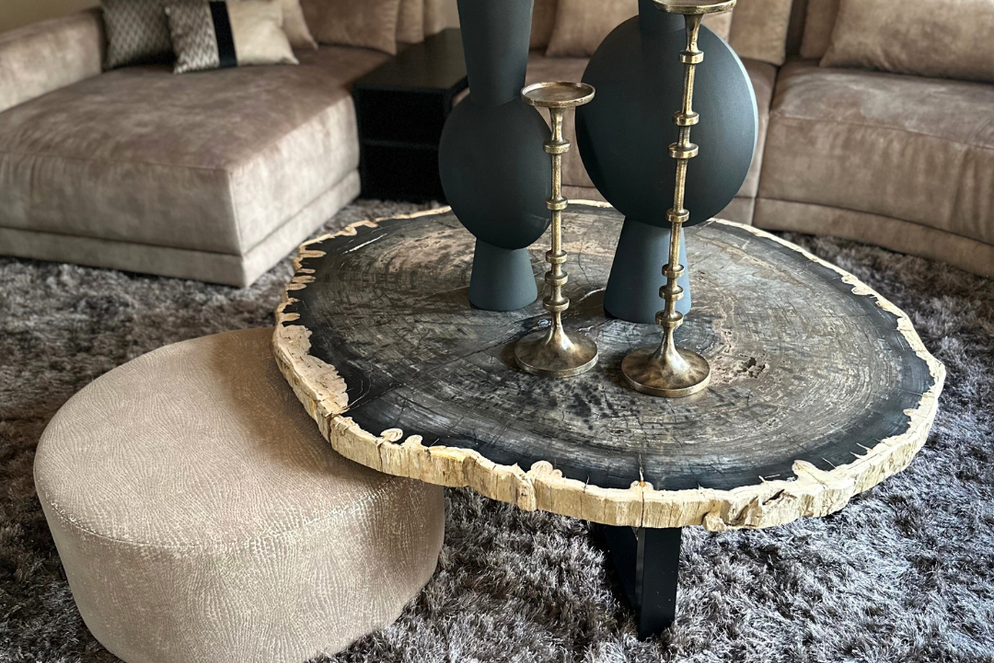 Cigaru coffeetable petrified wood Sangat