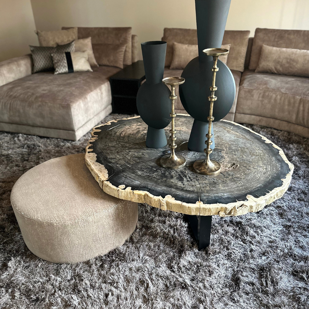 Cigaru coffeetable petrified wood besar