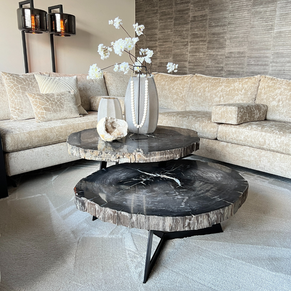 Cigaru coffeetable petrified wood sedang