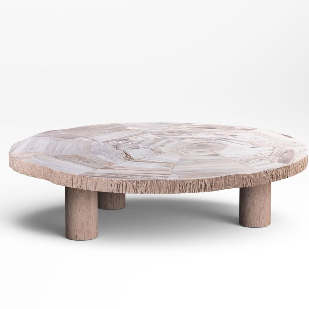 Manipa salontafel versteend hout lichte kleur