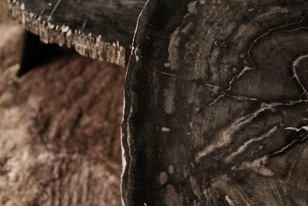 Cigaru coffeetable petrified wood 60-80 cm