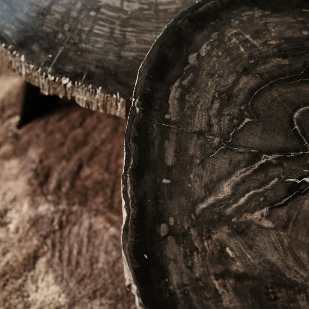 Cigaru coffeetable petrified wood kecil