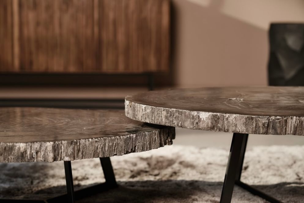 Cigaru coffeetable petrified wood 60-80 cm