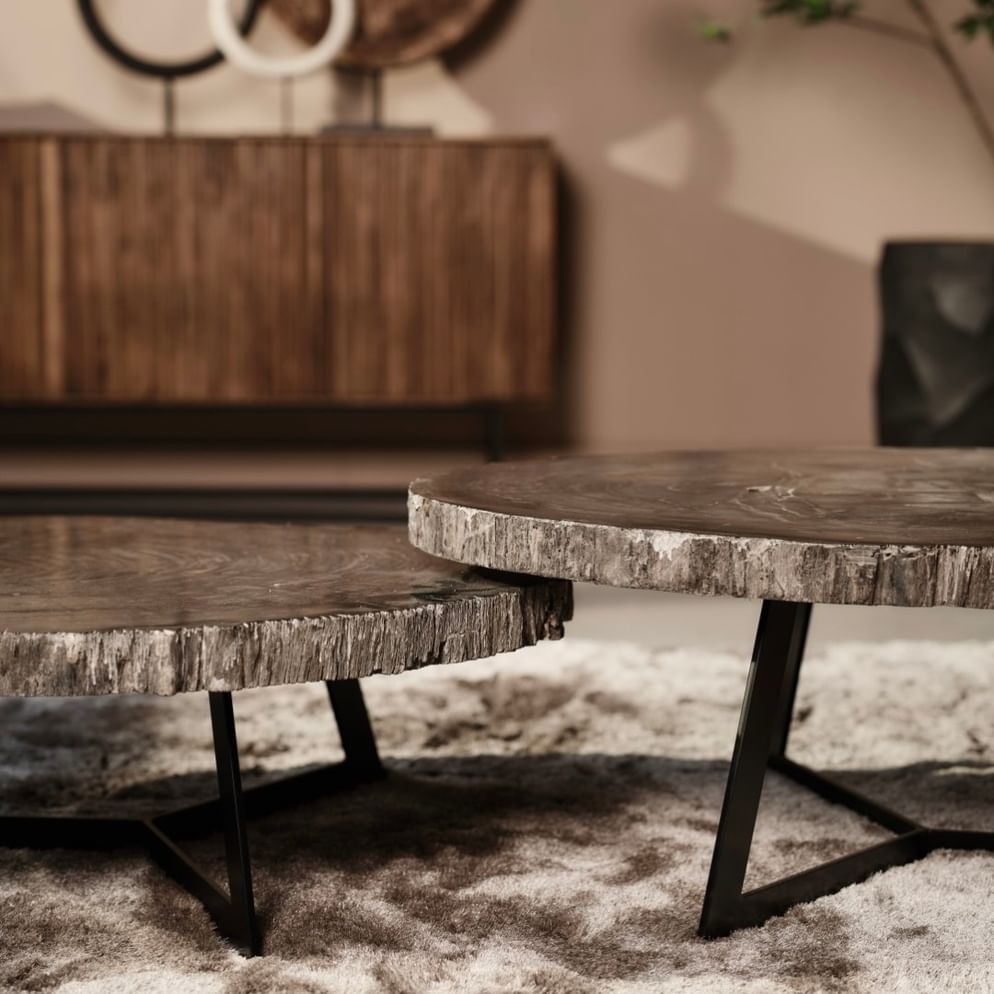 Cigaru coffeetable petrified wood kecil