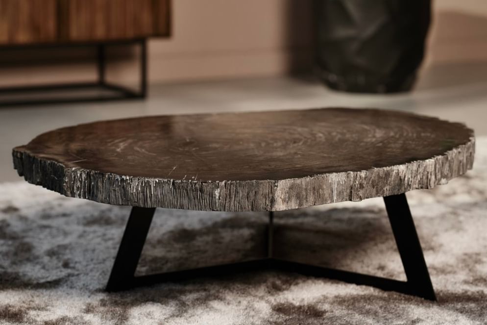 Cigaru coffeetable petrified wood besar