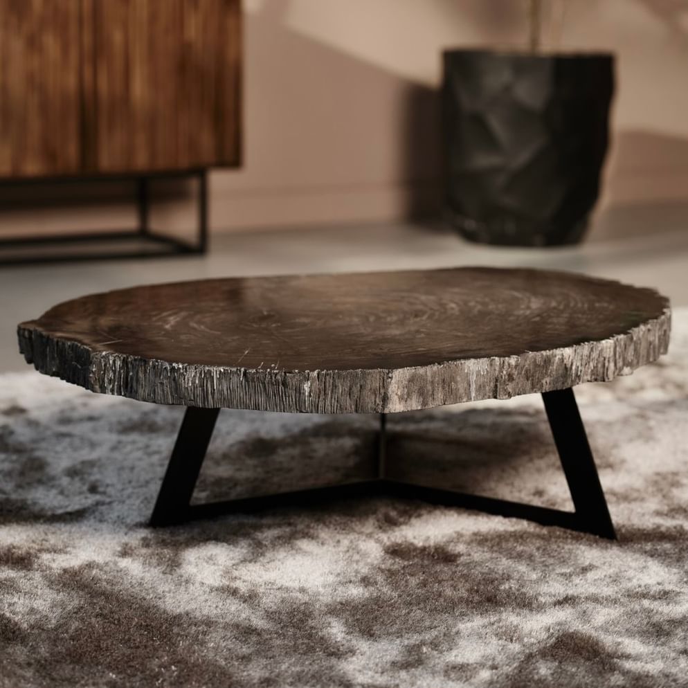 Cigaru coffeetable petrified wood besar
