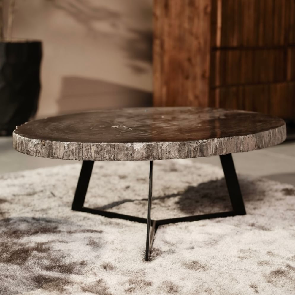 Cigaru coffeetable petrified wood kecil