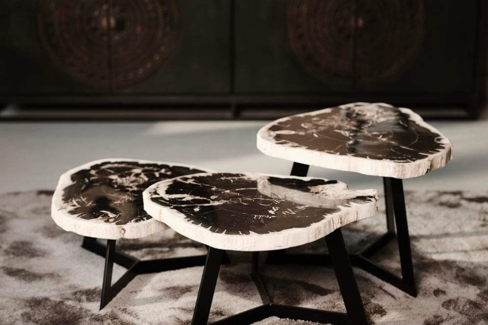 Garung petrified wood coffeetable high black leg