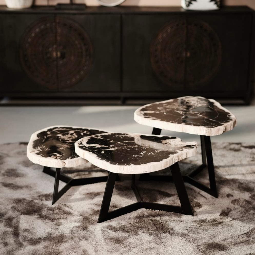 Garung petrified wood coffeetable high