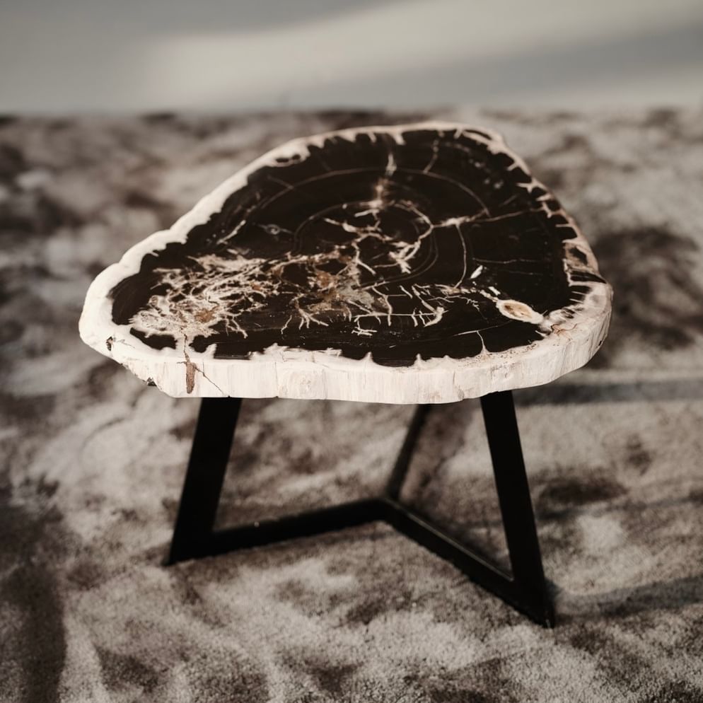 Garung petrified wood coffeetable high