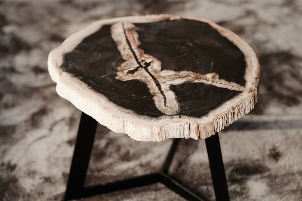 Garung petrified wood coffeetable high black leg