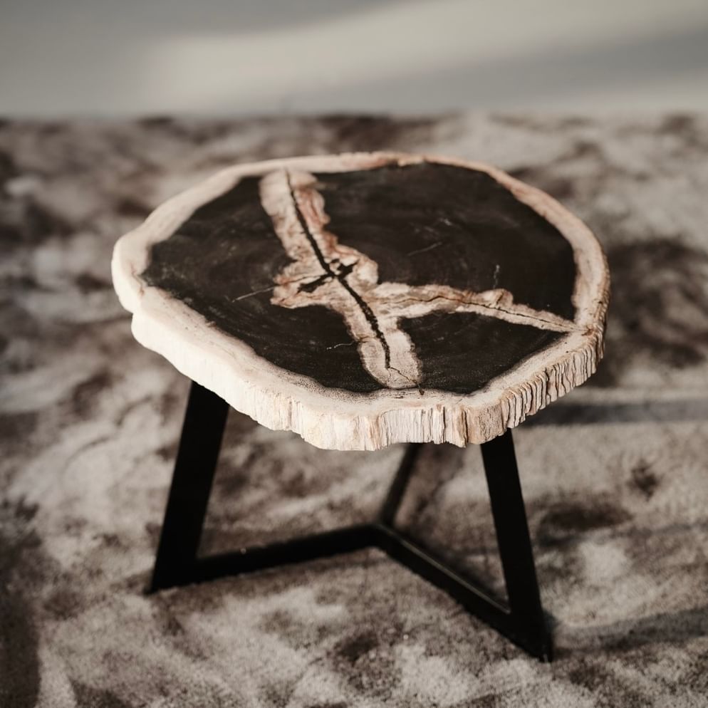Garung petrified wood coffeetable medium