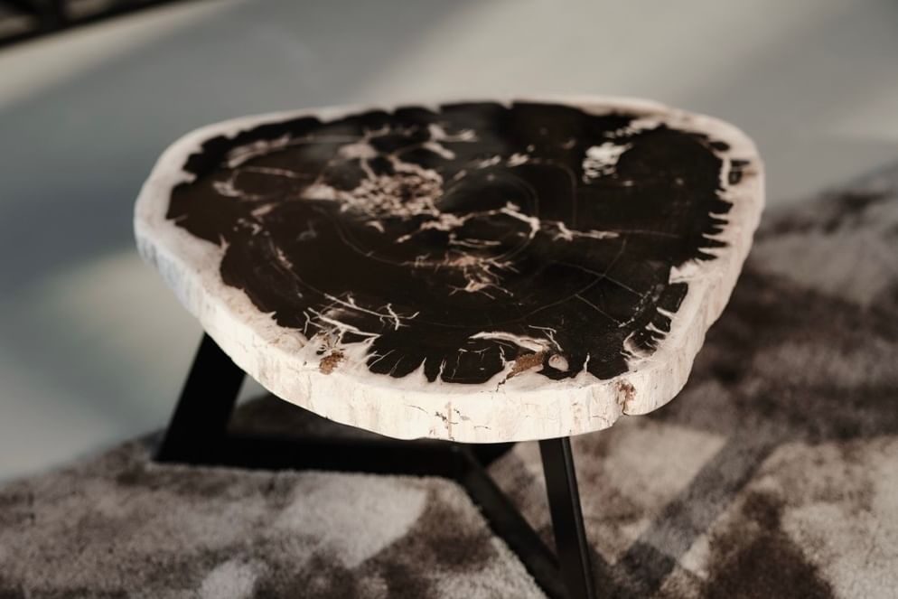 Garung petrified wood coffeetable low