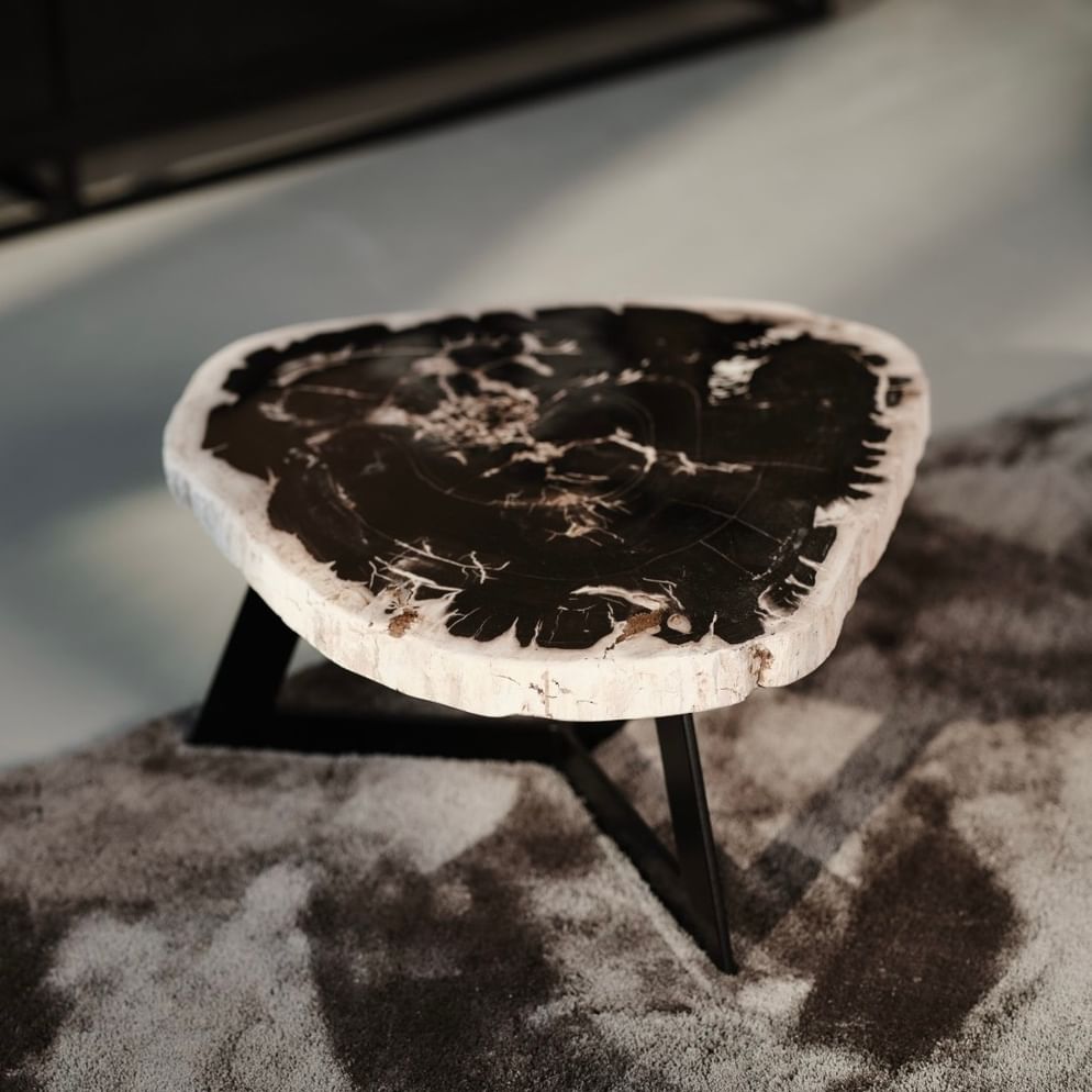 Garung petrified wood coffeetable low