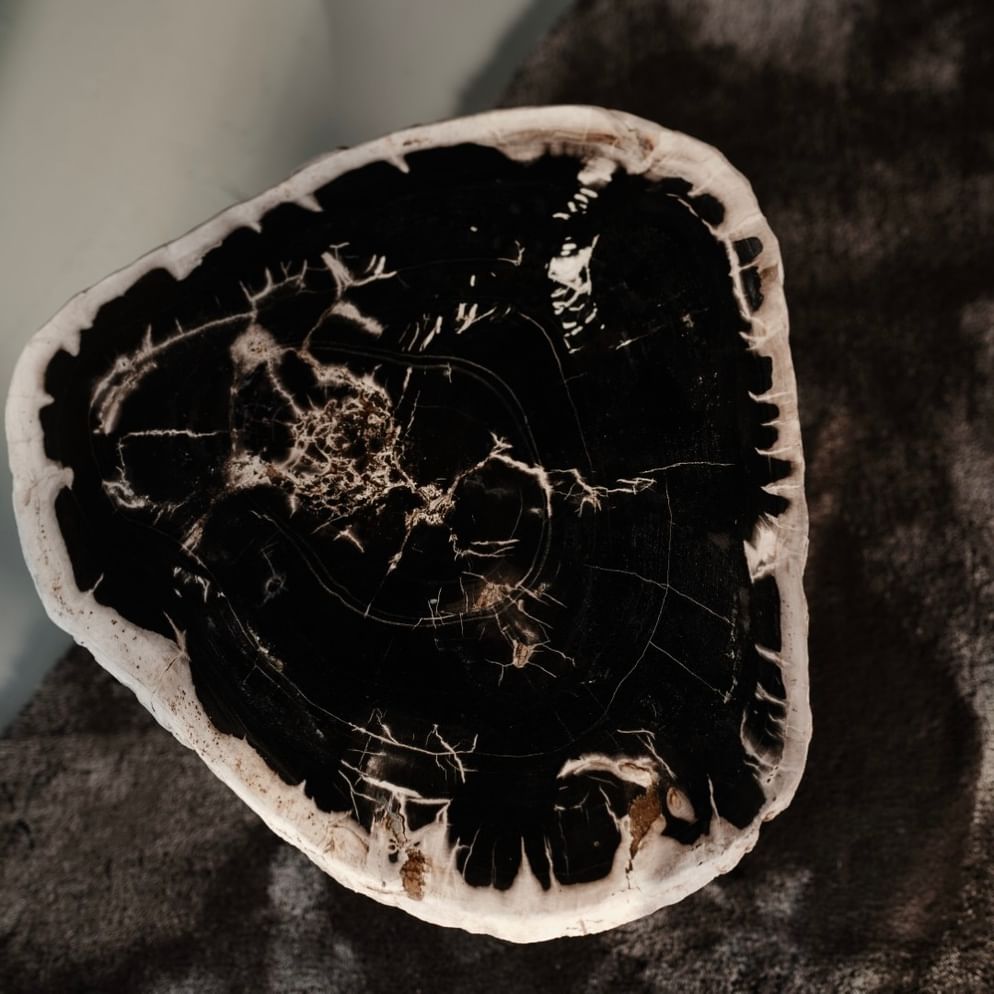 Garung petrified wood coffeetable low