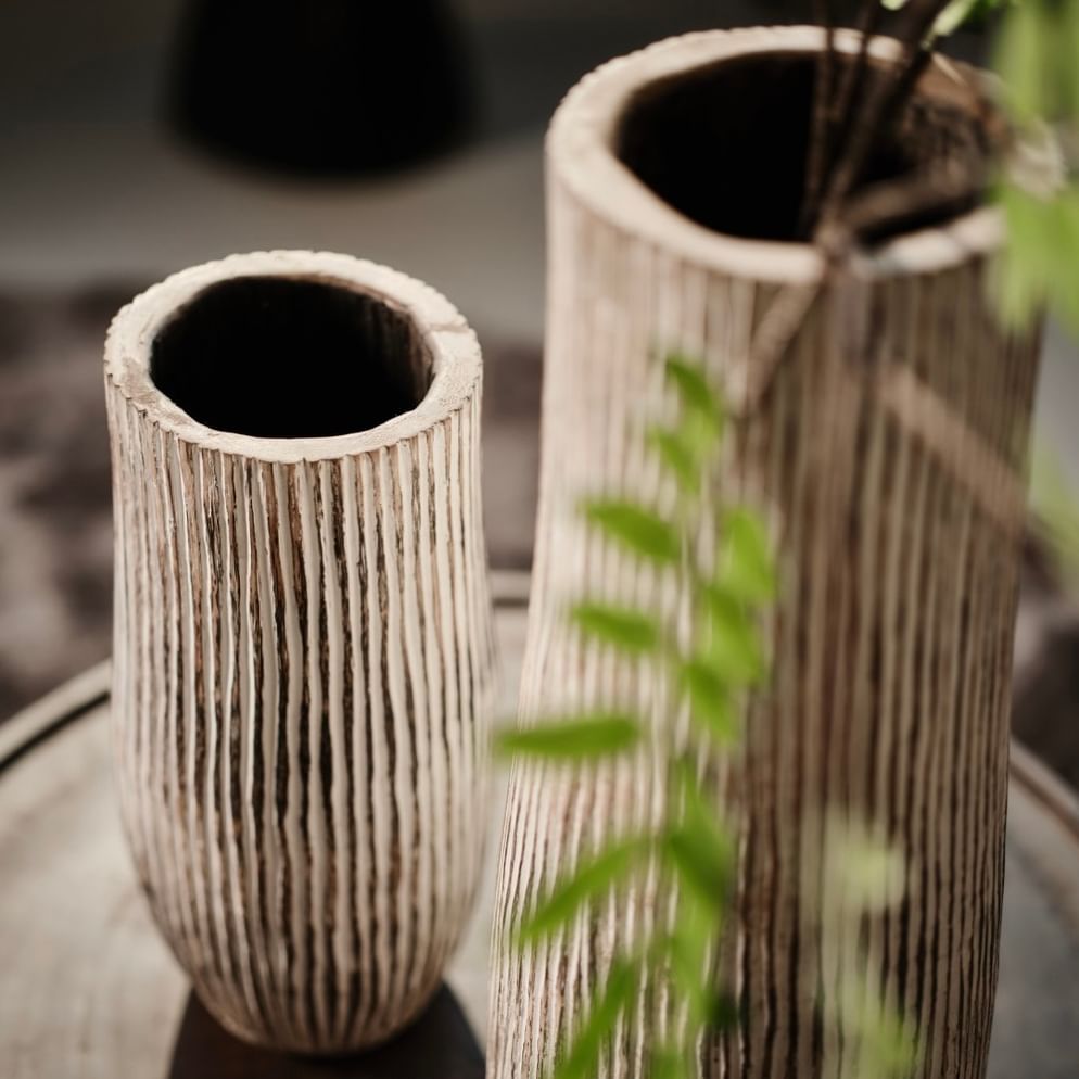 Bintuni pot palm besar white