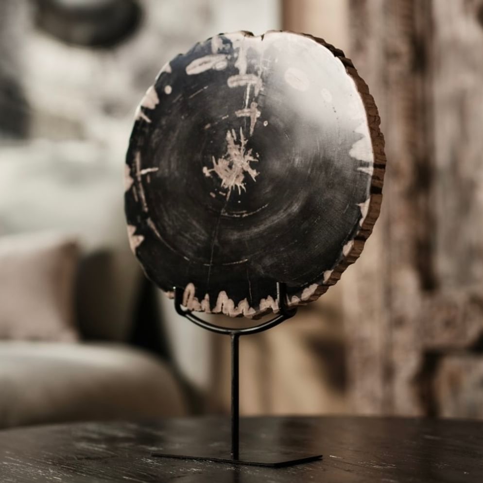 Sumur ornament petrified wood large