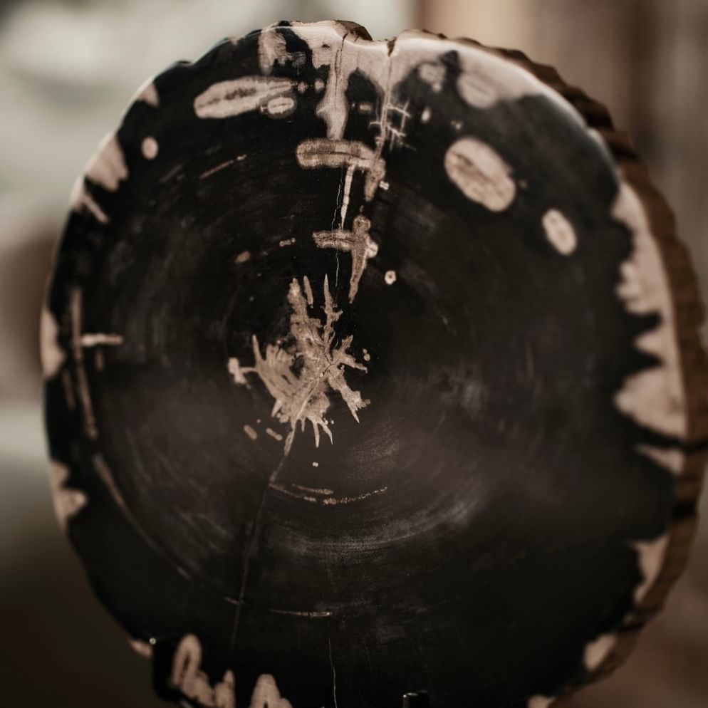 Sumur ornament petrified wood large