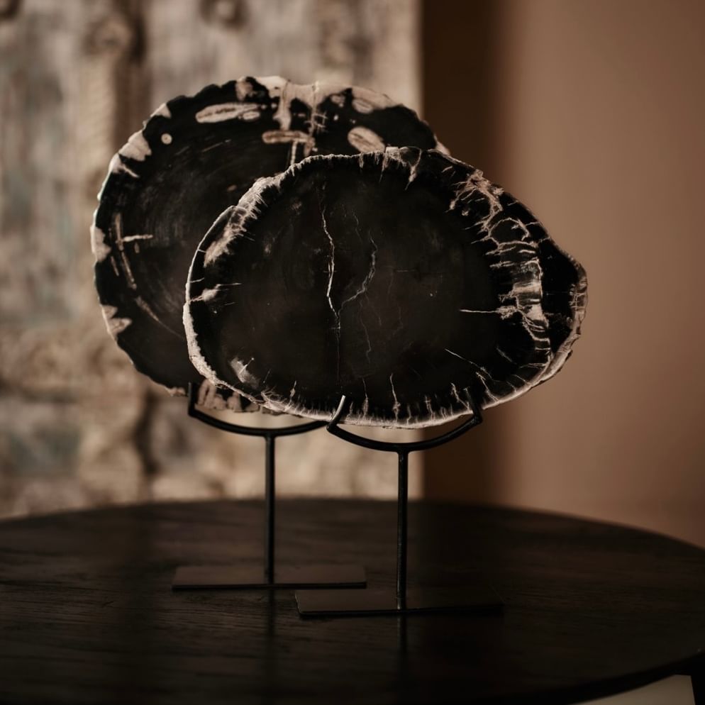 Sumur ornament petrified wood large