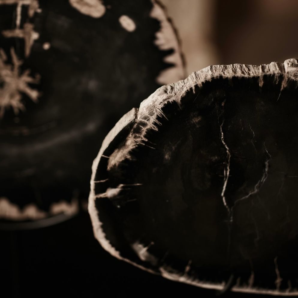 Sumur ornament petrified wood large