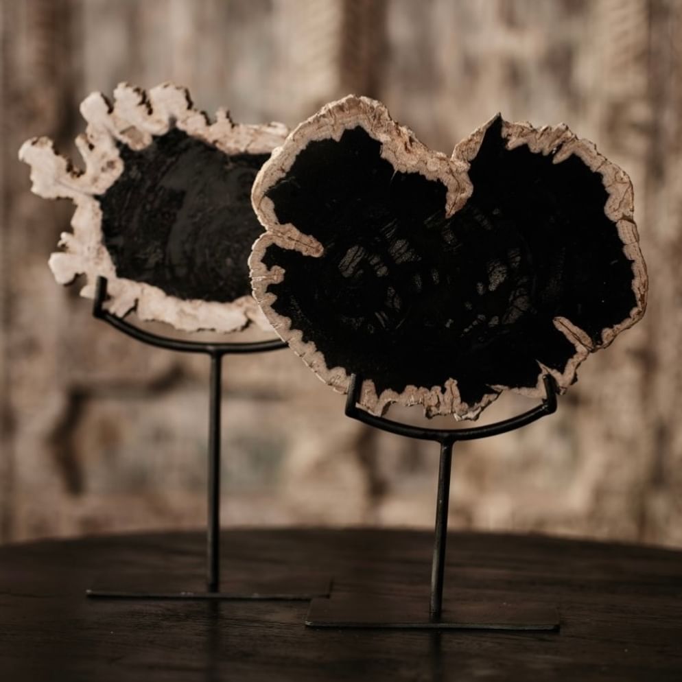 Sumur ornament petrified wood small