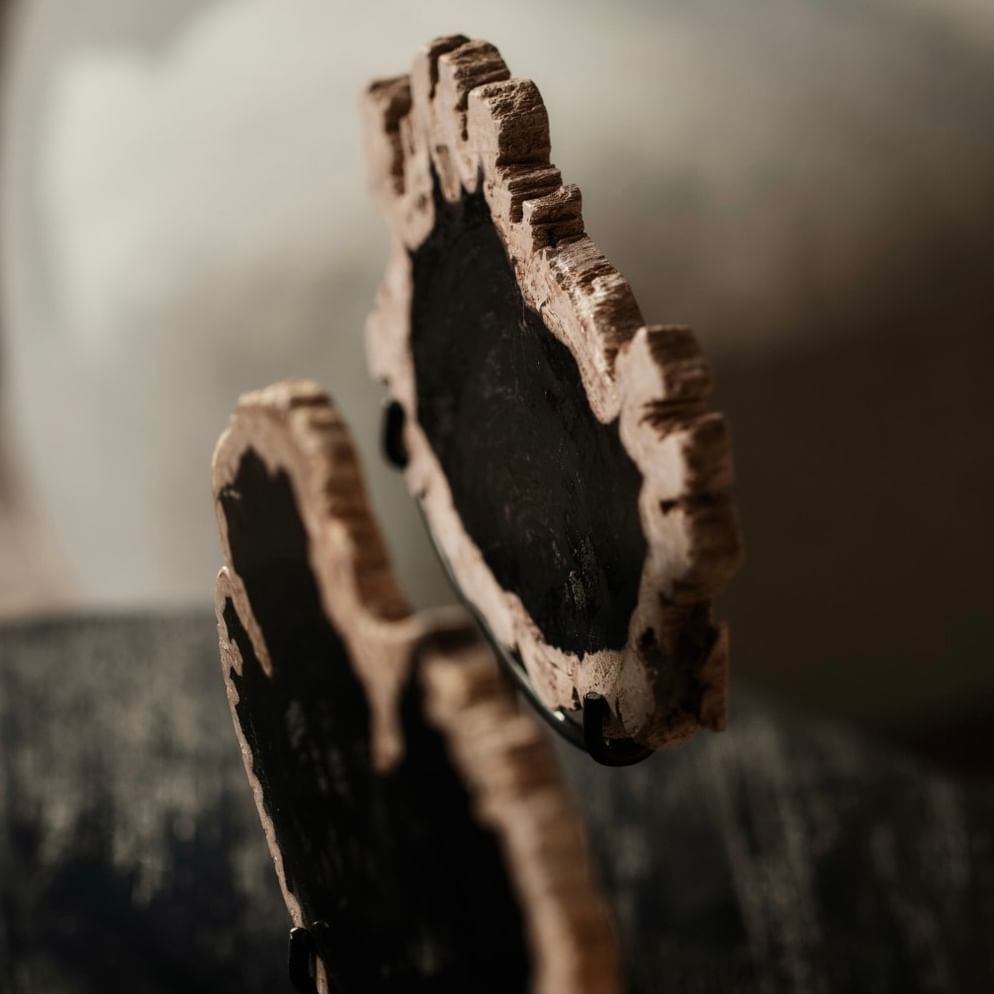 Sumur ornament petrified wood small