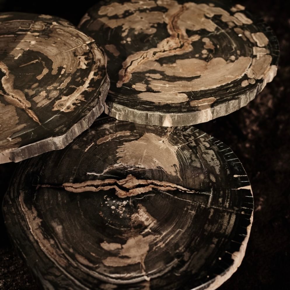 Ciawi coffeetable petrified wood high black leg