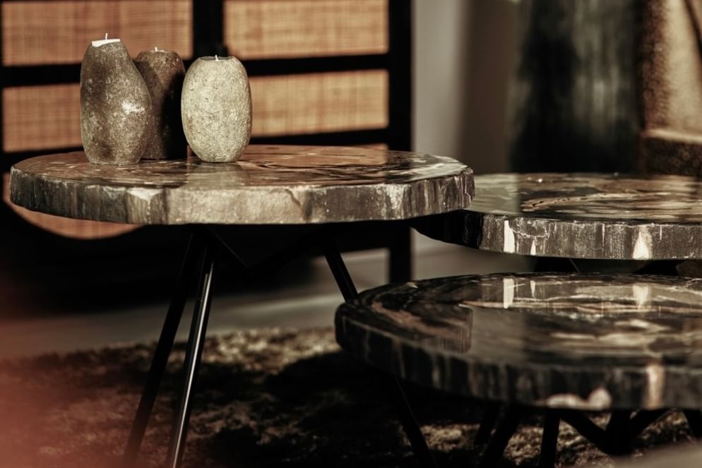 Ciawi coffeetable petrified wood tengah