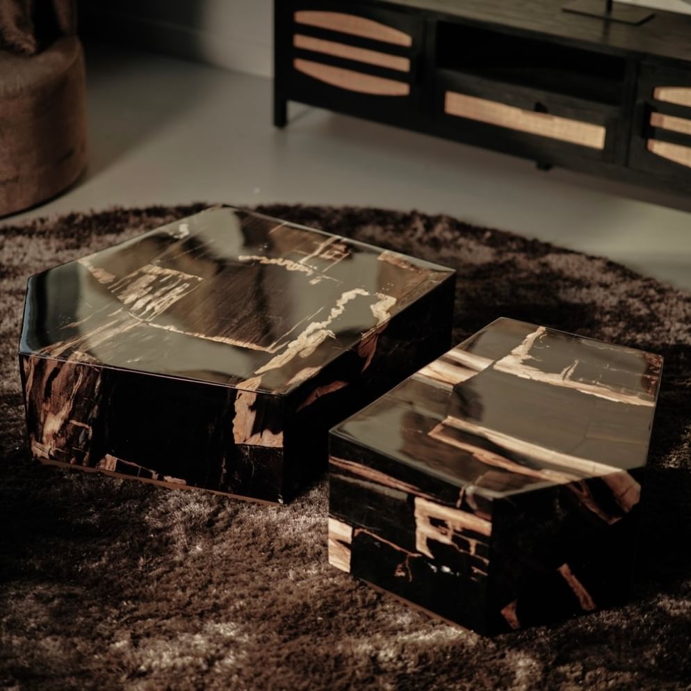 Palopo coffeetable petrified wood kecil