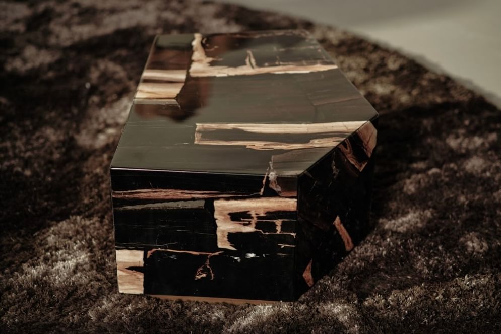 Palopo coffeetable petrified wood kecil