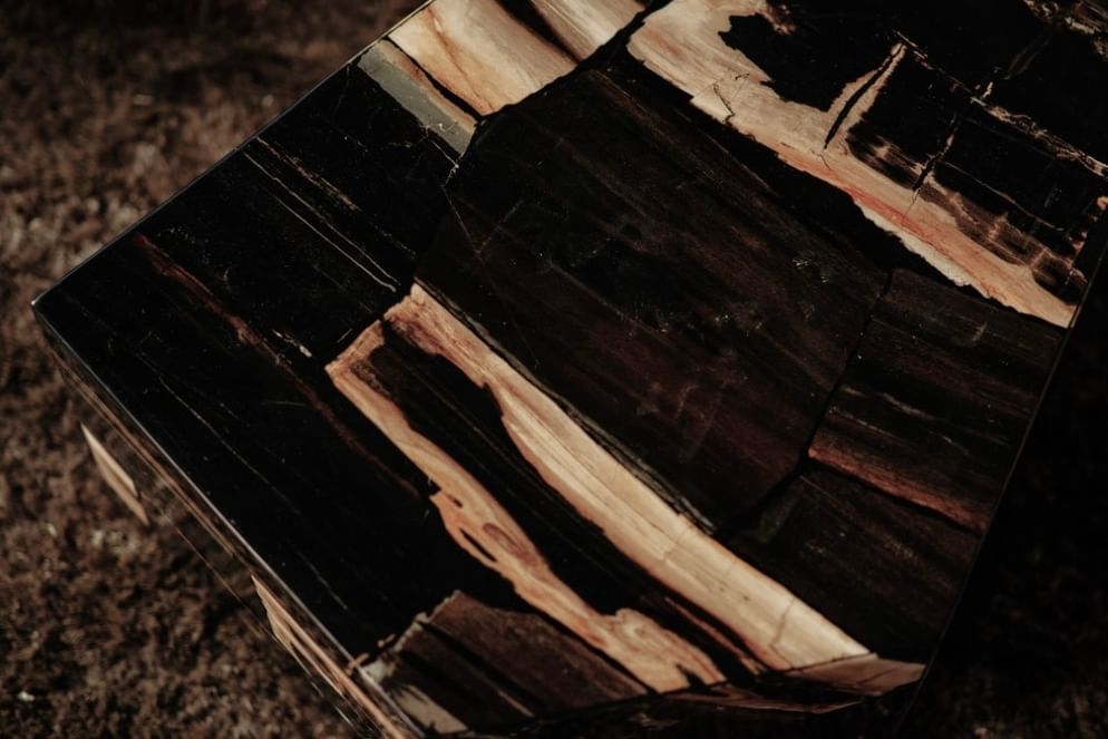 Palopo coffeetable petrified wood kecil