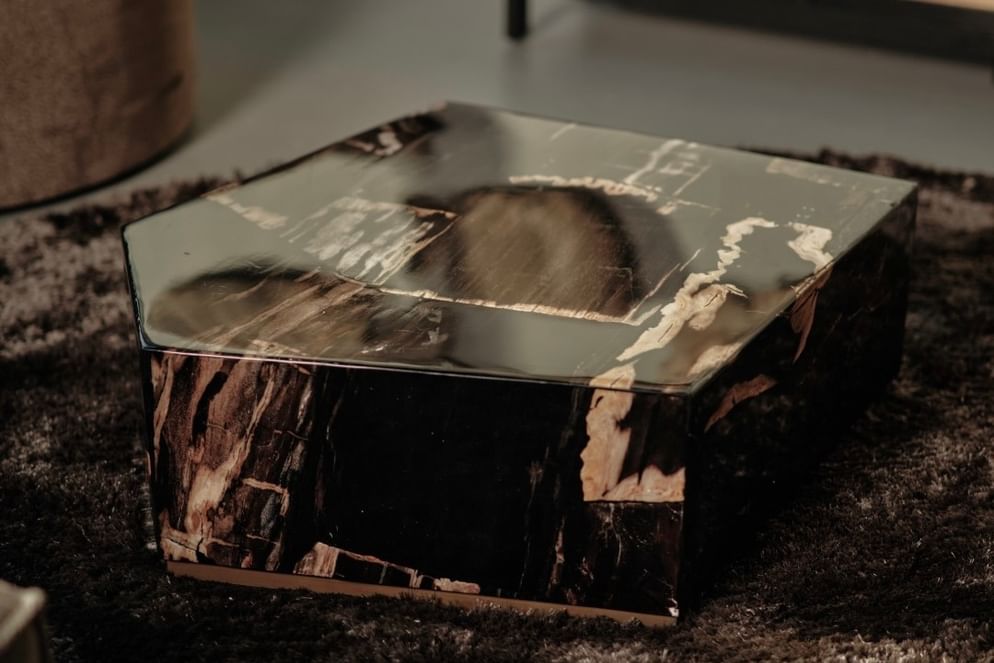 Palopo coffeetable petrified wood besar