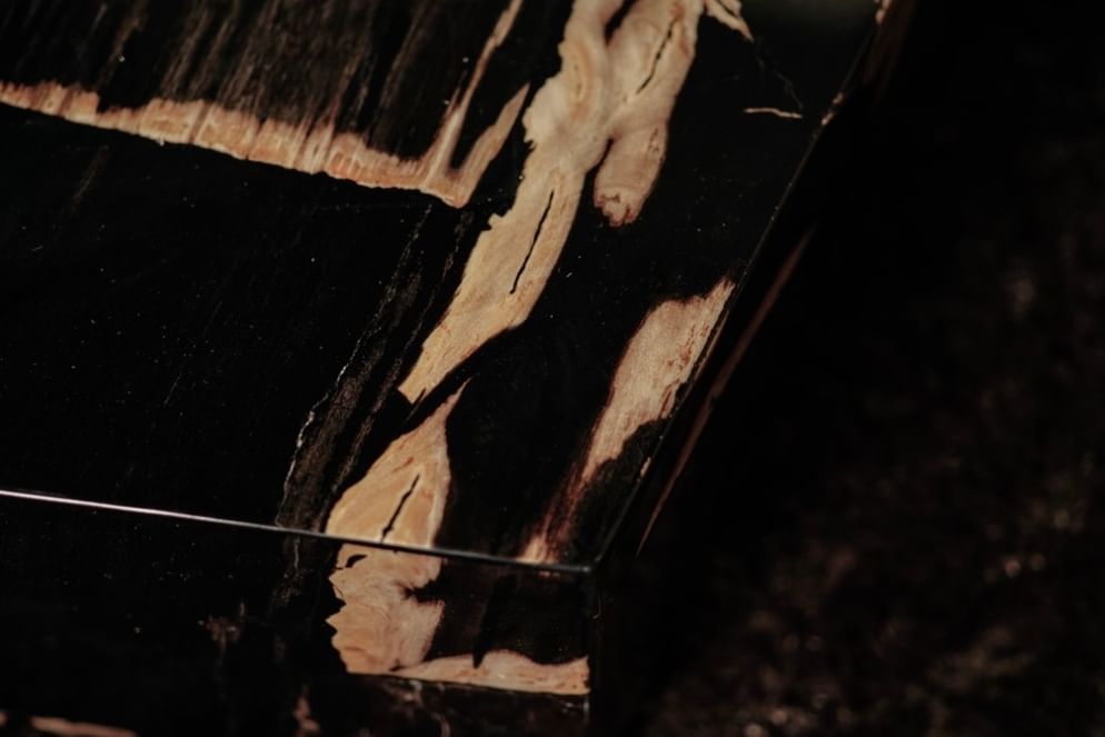 Palopo coffeetable petrified wood besar