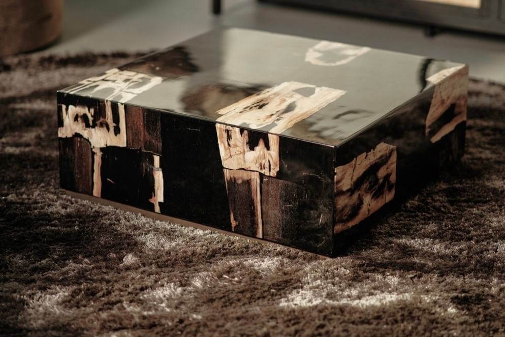 Masamba coffeetable petrified wood