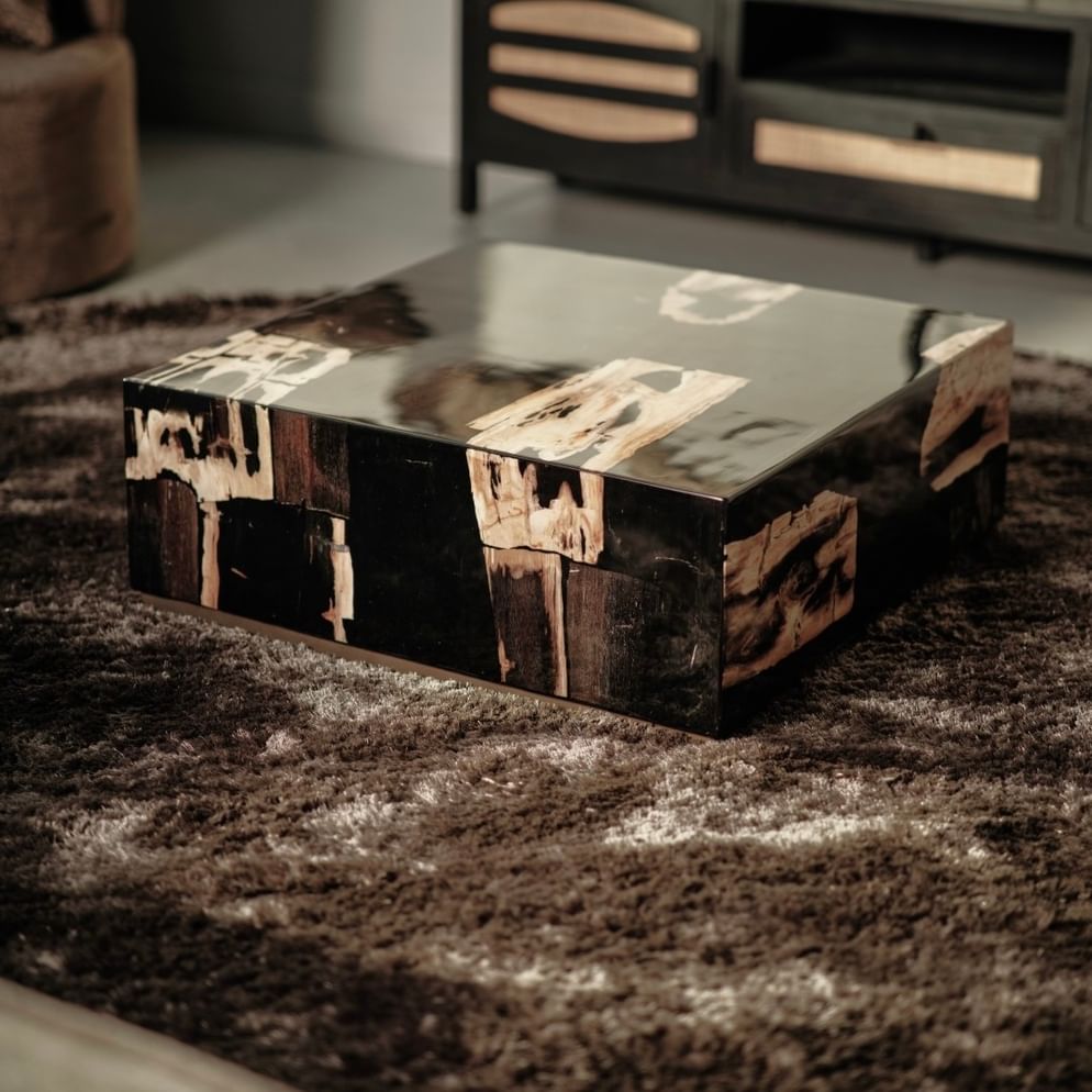 Masamba coffeetable petrified wood