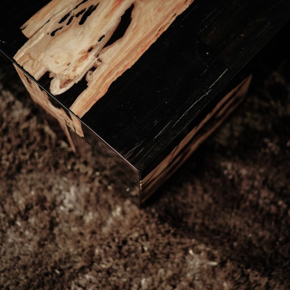 Masamba coffeetable petrified wood