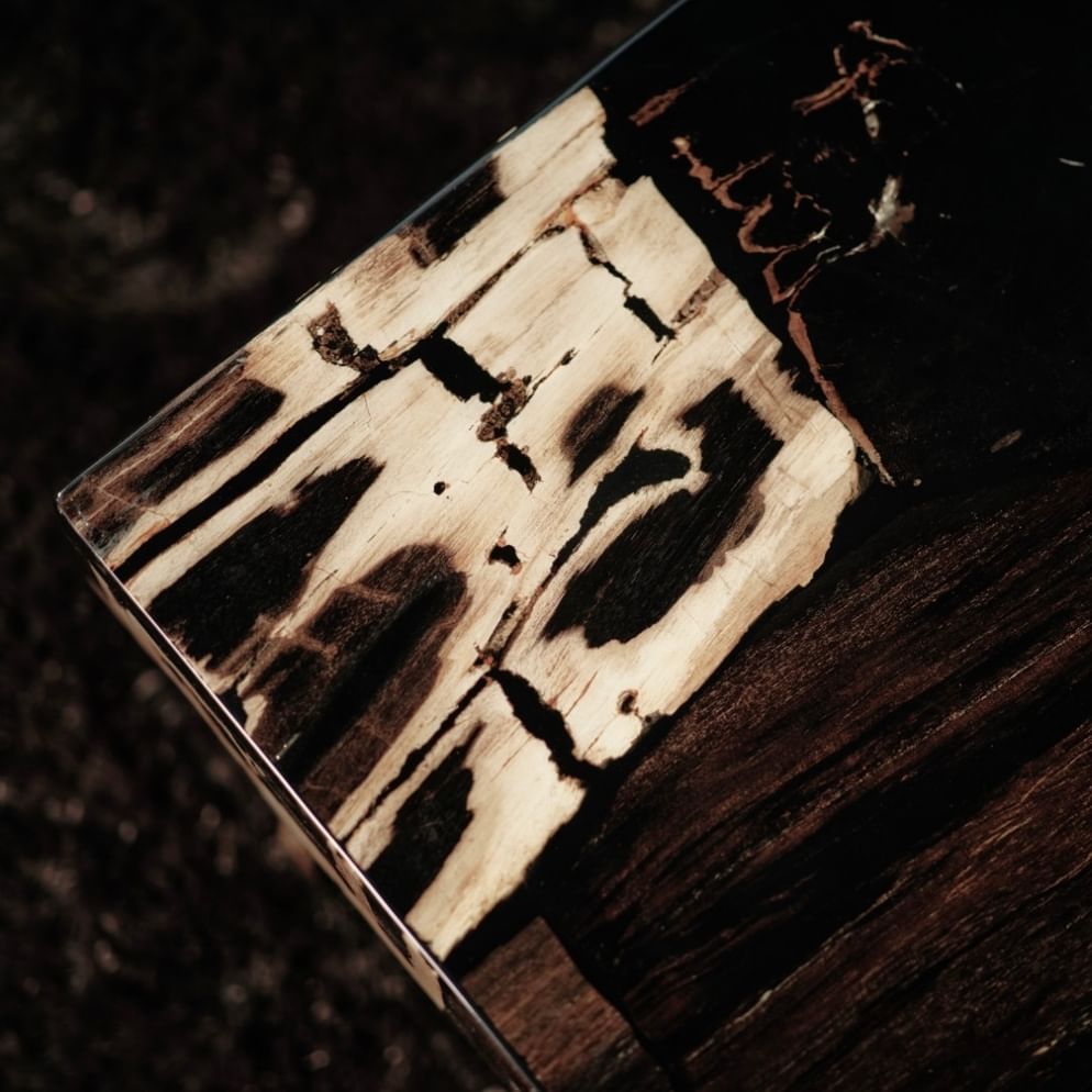 Masamba coffeetable petrified wood