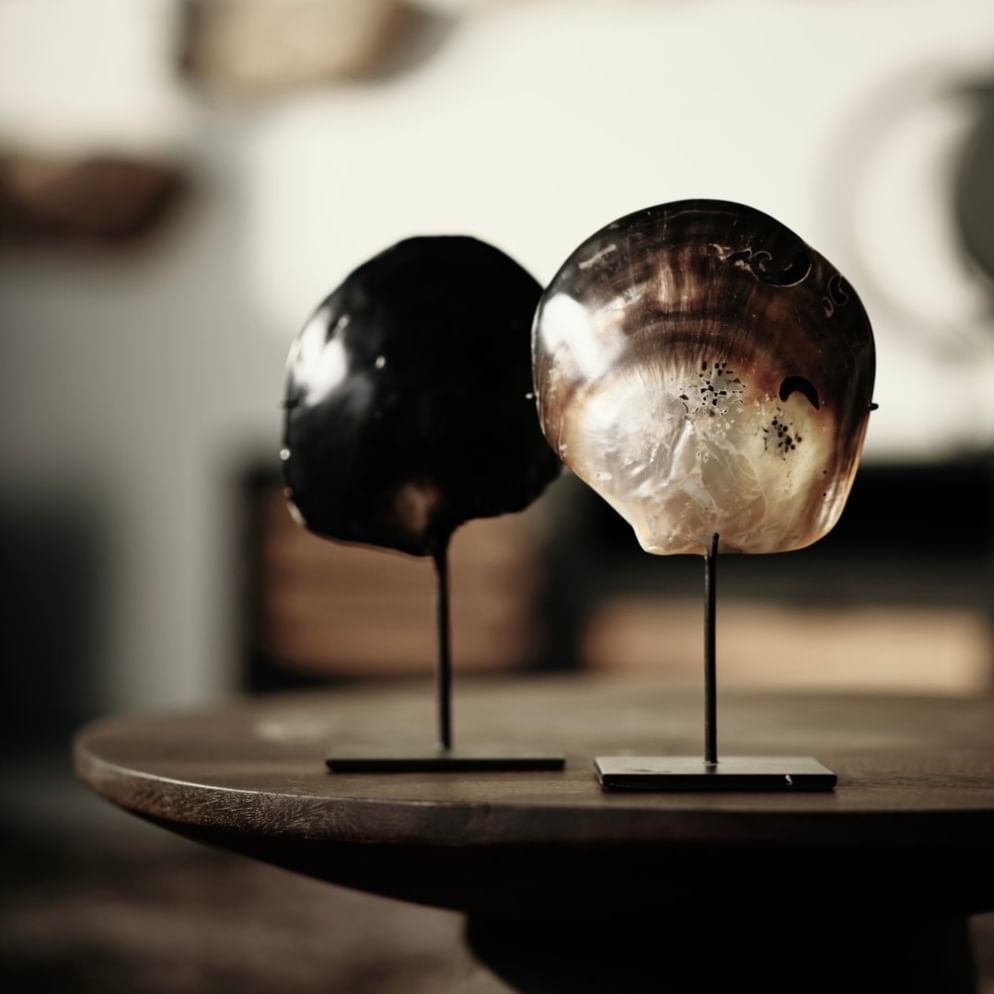 Djawai shell on stand