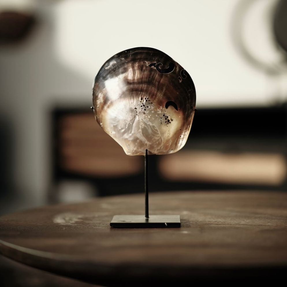 Djawai shell on stand