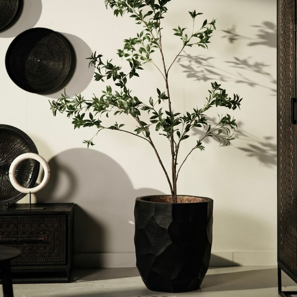 Sidas palm pot black