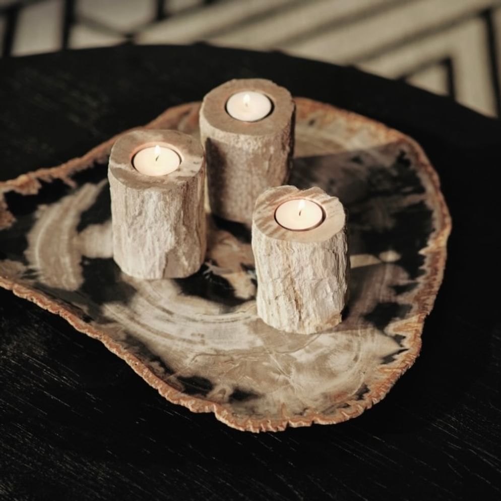 Santosa petrified wood plate