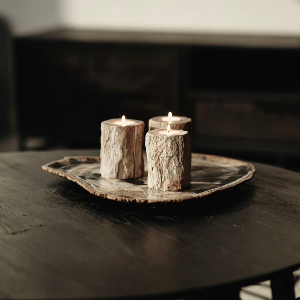 Santosa petrified wood plate