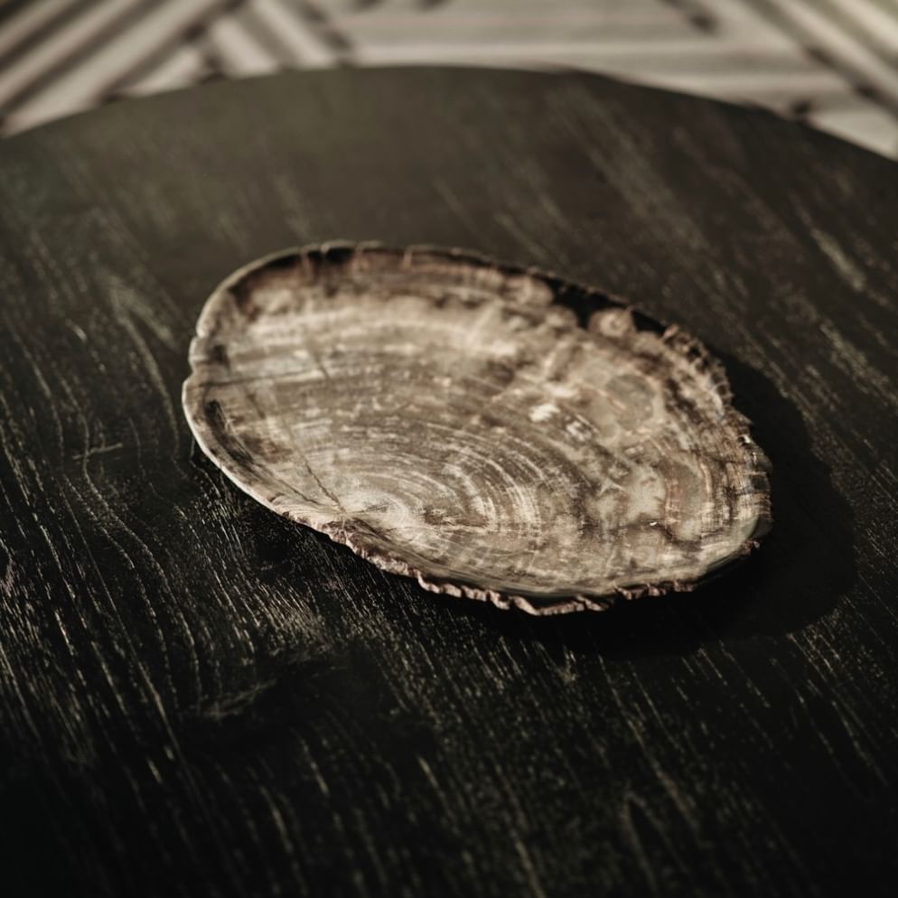 Santosa petrified wood plate