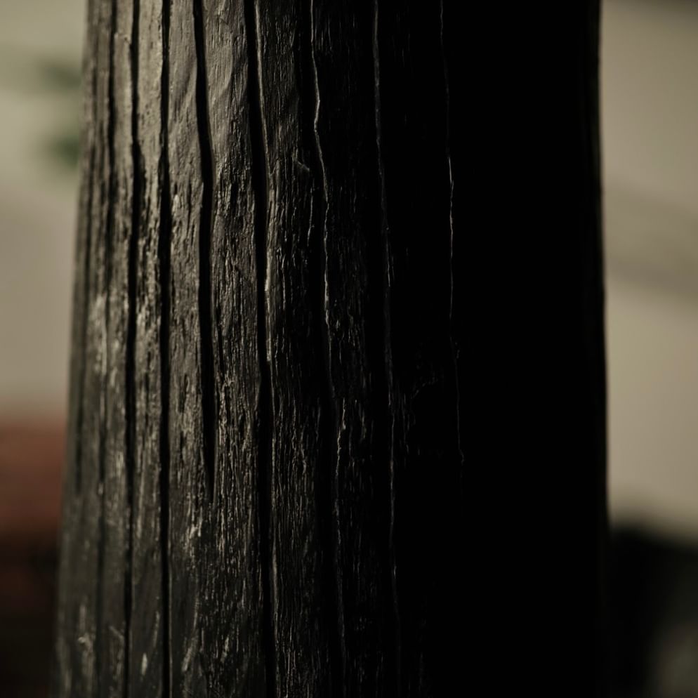 Bakong palm pot black