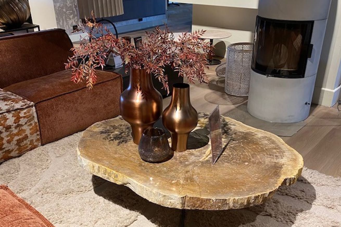 Cigaru coffeetable petrified wood Sangat