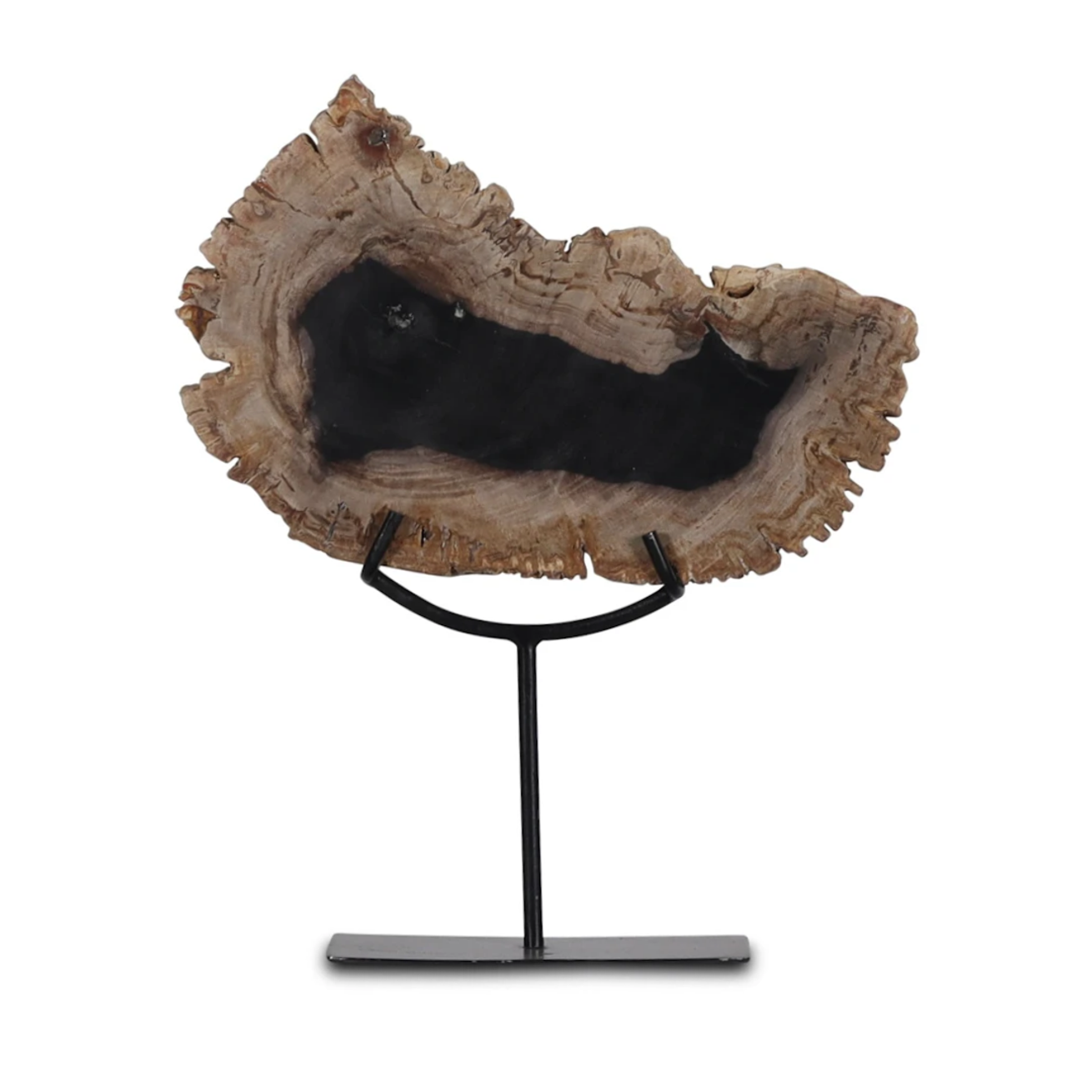 Sumur ornament petrified wood small